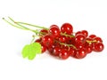 Summer fruits: Redcurrant Royalty Free Stock Photo