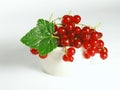 Summer fruits: Redcurrant Royalty Free Stock Photo