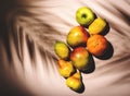 Summer fruits top view. Contemporary still life, lime green background, hard light and shadow pattern