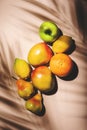 Summer fruits top view. Contemporary still life, pale pink background, hard light and palm leaves shadow pattern