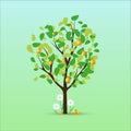 Summer pear tree with green leaves and juicy pears.Vector