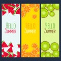 Summer fruits verticle banners set Royalty Free Stock Photo