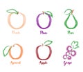 Summer fruits watercolor icons.