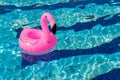 Summer fun beach. Pink inflatable flamingo in pool water for summer beach background. Funny bird toy for kids Royalty Free Stock Photo