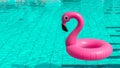 Summer fun beach. Pink inflatable flamingo in pool water for summer beach background. Funny bird toy for kids. Royalty Free Stock Photo