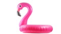 Summer fun beach. Pink pool inflatable flamingo for summer beach isolated on white background. Funny bird toy for kids