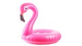 Summer fun beach. Pink pool inflatable flamingo for summer beach isolated on white background. Funny bird toy for kids Royalty Free Stock Photo