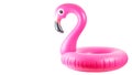 Summer fun beach. Pink pool inflatable flamingo for summer beach isolated on white background. Funny bird toy for kids Royalty Free Stock Photo