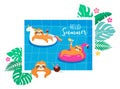 Summer fun illustration with cute characters of koalas and sloths, having fun. Pool, sea and beach summer activities