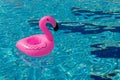 Summer fun isolated. Pink inflatable flamingo in pool water for summer beach background. Funny bird toy for kids Royalty Free Stock Photo