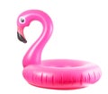 Summer fun isolated. Pink pool inflatable flamingo for summer beach isolated on white background. Funny bird toy for kids Royalty Free Stock Photo