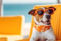 summer fun: sunglasses-clad dog takes a hilarious sunbathing break on a deck chair during vacation Royalty Free Stock Photo