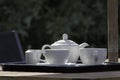 Summer garden afternoon tea party. White crockery teapot cups an