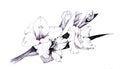 Summer garden blooming flowers monochrome illustration. Royalty Free Stock Photo