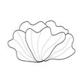 Summer garden blooming flowers monochrome illustration, sketch, hand drawn Royalty Free Stock Photo