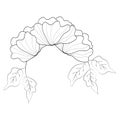 Summer garden blooming flowers monochrome illustration, sketch, hand drawn Royalty Free Stock Photo