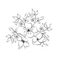 Summer garden blooming flowers monochrome illustration, sketch, hand drawn Royalty Free Stock Photo