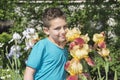 In the summer in the garden boy standing near flowers irises. Royalty Free Stock Photo