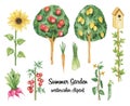 Summer Garden clipart, vegetables, summer floral set, watercolor hand drawn illustration Royalty Free Stock Photo