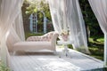 Summer garden gazebo with curtains and sofa for relaxation.