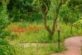 A summer garden in Italy. Royalty Free Stock Photo