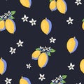 Summer garden lemon fruit seamless pattern with flowers, bright texture Royalty Free Stock Photo