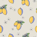 Summer garden lemon fruit seamless pattern with flowers, bright texture Royalty Free Stock Photo