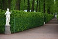 St. Petersburg. Alley of the Summer Garden with a marble statue of the Libyan Sibyl and a green hedge Royalty Free Stock Photo