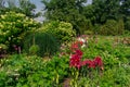 Summer garden with lots of green lush plants and flowers. Royalty Free Stock Photo