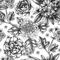 Summer garden plants seamless pattern. Vintage azaleas, hawthorns, roses sketches. Vector floral background with hand drawn Royalty Free Stock Photo