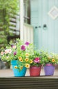 Summer garden shed and flower pots Royalty Free Stock Photo