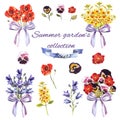 Summer garden`s set with flowers and bouquets Royalty Free Stock Photo