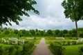 Summer garden in Saint Petersburg, landscape. Beautiful park with trimmed trees, people, green lawn, benches