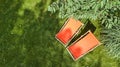 Summer garden with sunbed deckchairs on grass aerial top view, green park trees and place for relax from above Royalty Free Stock Photo