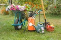 Summer garden with wheelbarrow and garden tools Royalty Free Stock Photo