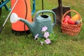 Summer garden with wheelbarrow and garden tools Royalty Free Stock Photo