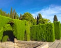 Summer in Generalife Gardens.