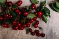 Summer gifts. a fresh branch of a cherry tree with green leaves and red fruits, cherries lying on a wooden table, on a wooden back Royalty Free Stock Photo