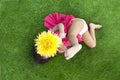 Summer Girl with gerbera flower Royalty Free Stock Photo