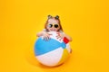 Summer girl wearing sunglasses with ball laughing on yellow background Royalty Free Stock Photo