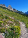 Summer in Glacier Royalty Free Stock Photo
