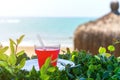 Summer, a glass of fresh juice, with ice, from red tropical fruits on the beach, on green grass, against the sea. Royalty Free Stock Photo
