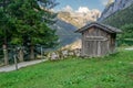 Summer in Gosausee lake in Gosau, Alps, Austria Royalty Free Stock Photo