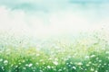 Nature flower grass season field spring sky summer background green meadow background Royalty Free Stock Photo