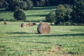 Summer grass cutting and hay drying with modern tools. Agriculture and farm Royalty Free Stock Photo