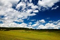 The summer grassland and cloudscape