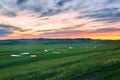 The summer grassland and sunset glow Royalty Free Stock Photo