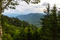 Lush Green Forest Of The Great Smoky Mountains National Park Royalty Free Stock Photo