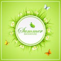 Summer green background with grass and butterflies