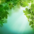 Summer green background with greenery foliage